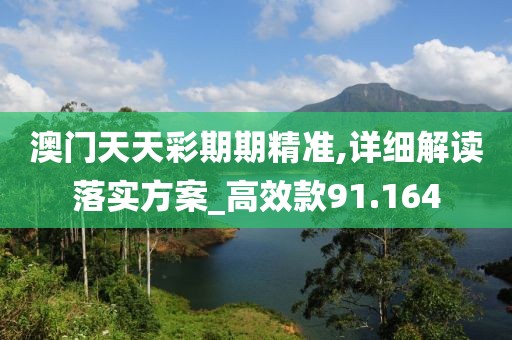 澳门天天彩期期精准,详细解读落实方案_高效款91.164