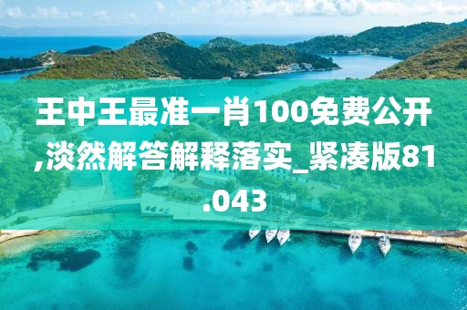 王中王最准一肖100免费公开,淡然解答解释落实_紧凑版81.043