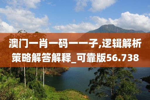 澳门一肖一码一一子,逻辑解析策略解答解释_可靠版56.738