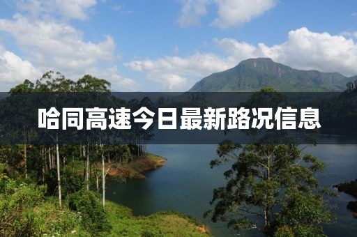 哈同高速今日最新路况信息