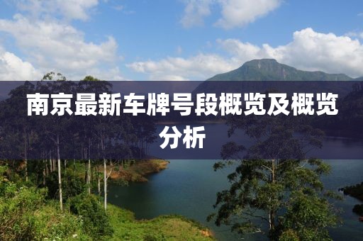 两把枪闯天下 第55页
