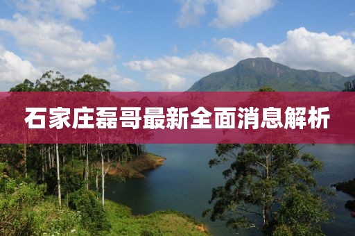 石家庄磊哥最新全面消息解析