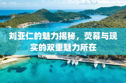 刘亚仁的魅力揭秘，荧幕与现实的双重魅力所在