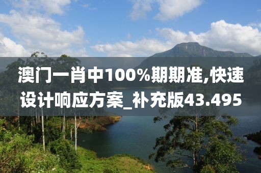 澳门一肖中100%期期准,快速设计响应方案_补充版43.495