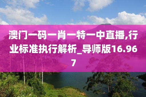 澳门一码一肖一特一中直播,行业标准执行解析_导师版16.967