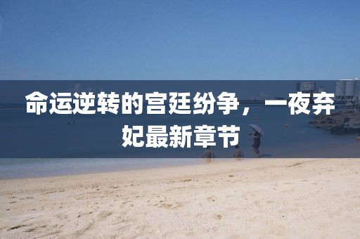 命运逆转的宫廷纷争，一夜弃妃最新章节