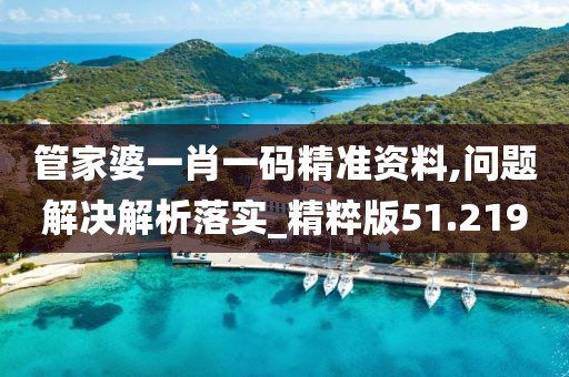 管家婆一肖一码精准资料,问题解决解析落实_精粹版51.219