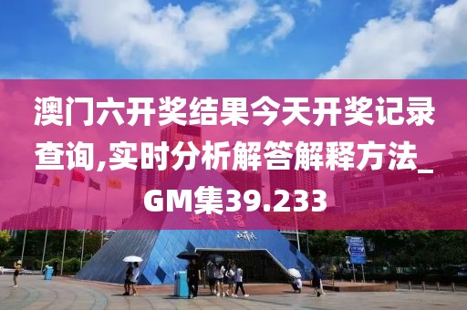 澳门六开奖结果今天开奖记录查询,实时分析解答解释方法_GM集39.233