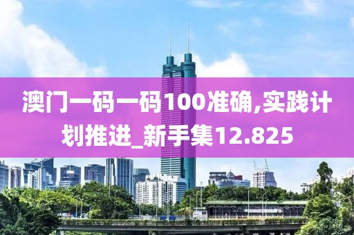 澳门一码一码100准确,实践计划推进_新手集12.825