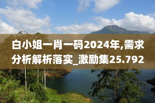 白小姐一肖一码2024年,需求分析解析落实_激励集25.792