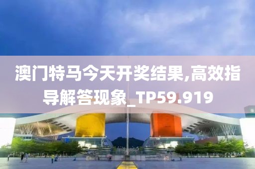 澳门特马今天开奖结果,高效指导解答现象_TP59.919