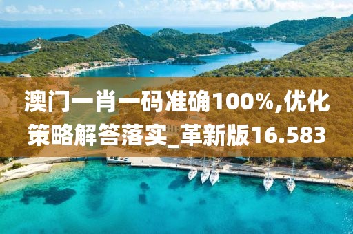 澳门一肖一码准确100%,优化策略解答落实_革新版16.583