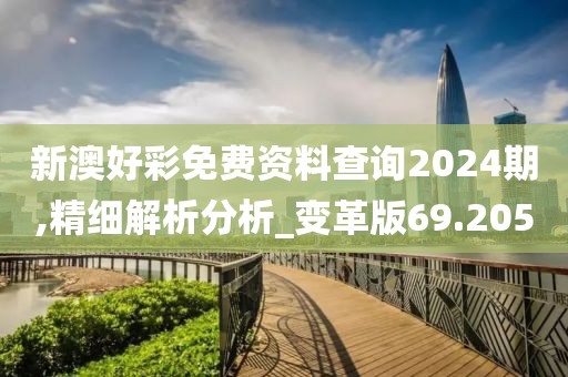 新澳好彩免费资料查询2024期,精细解析分析_变革版69.205