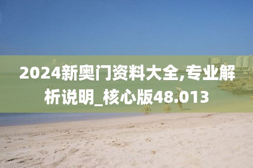 2024新奥门资料大全,专业解析说明_核心版48.013