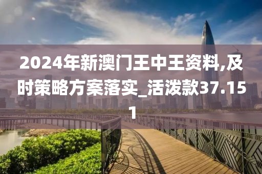 2024年新澳门王中王资料,及时策略方案落实_活泼款37.151