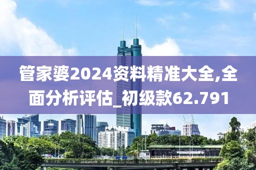 管家婆2024资料精准大全,全面分析评估_初级款62.791