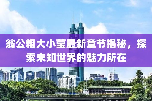 翁公粗大小莹最新章节揭秘，探索未知世界的魅力所在