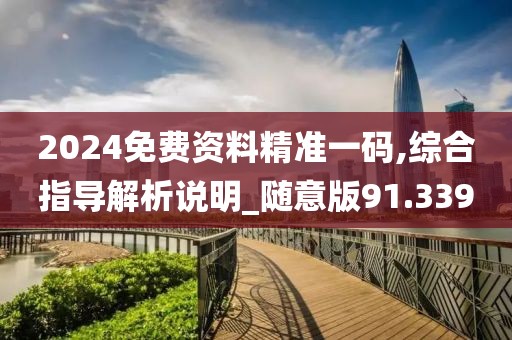 2024免费资料精准一码,综合指导解析说明_随意版91.339