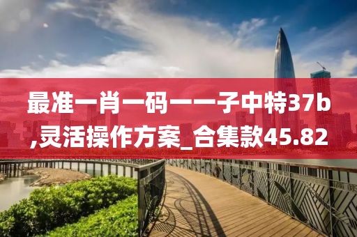 最准一肖一码一一子中特37b,灵活操作方案_合集款45.82