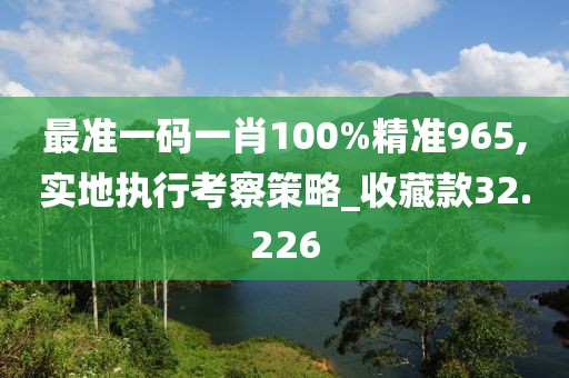 最准一码一肖100%精准965,实地执行考察策略_收藏款32.226