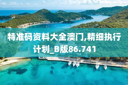 特准码资料大全澳门,精细执行计划_B版86.741