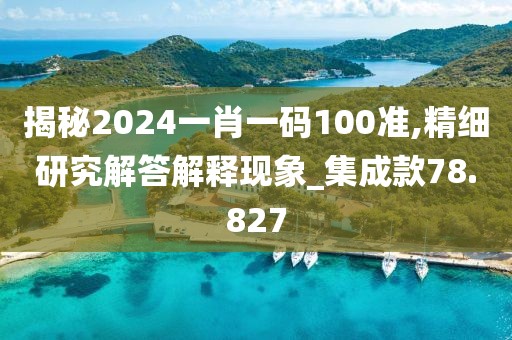 揭秘2024一肖一码100准,精细研究解答解释现象_集成款78.827