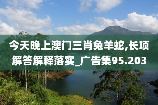 今天晚上澳门三肖兔羊蛇,长项解答解释落实_广告集95.203