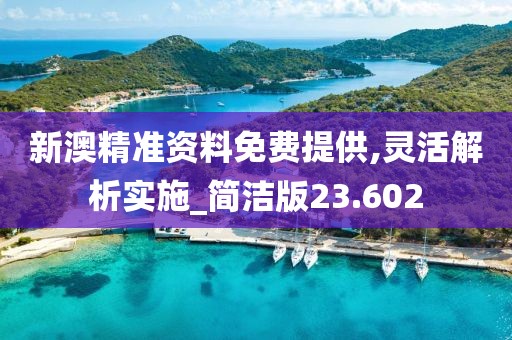 新澳精准资料免费提供,灵活解析实施_简洁版23.602