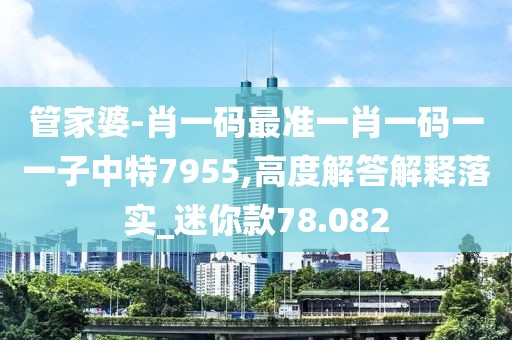 管家婆-肖一码最准一肖一码一一子中特7955,高度解答解释落实_迷你款78.082