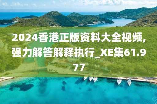 2024香港正版资料大全视频,强力解答解释执行_XE集61.977