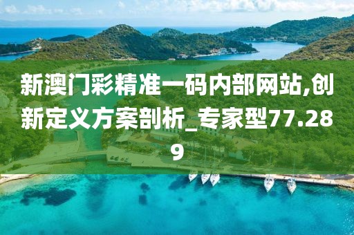 新澳门彩精准一码内部网站,创新定义方案剖析_专家型77.289