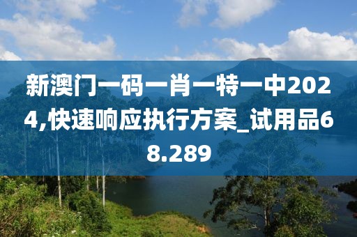 新澳门一码一肖一特一中2024,快速响应执行方案_试用品68.289