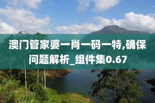 澳门管家婆一肖一码一特,确保问题解析_组件集0.67