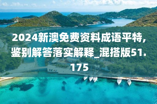 2024新澳免费资料成语平特,鉴别解答落实解释_混搭版51.175