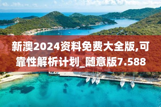 新澳2024资料免费大全版,可靠性解析计划_随意版7.588