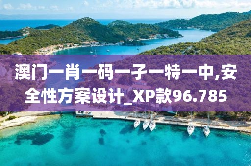 澳门一肖一码一孑一特一中,安全性方案设计_XP款96.785