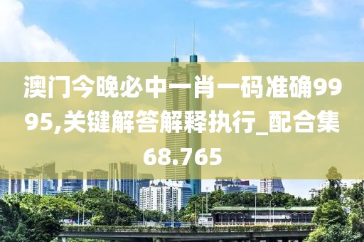 澳门今晚必中一肖一码准确9995,关键解答解释执行_配合集68.765