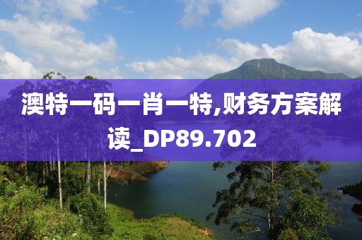 澳特一码一肖一特,财务方案解读_DP89.702