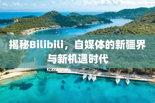 揭秘Bilibili，自媒体的新疆界与新机遇时代