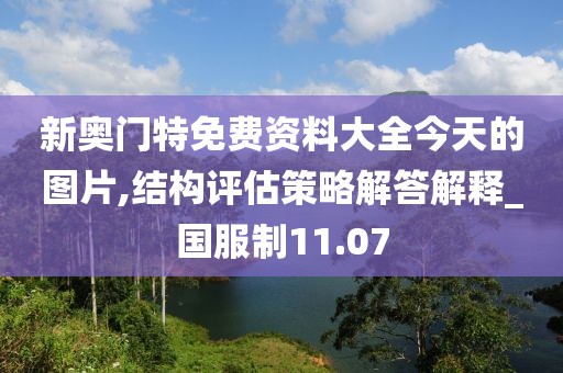 新奥门特免费资料大全今天的图片,结构评估策略解答解释_国服制11.07