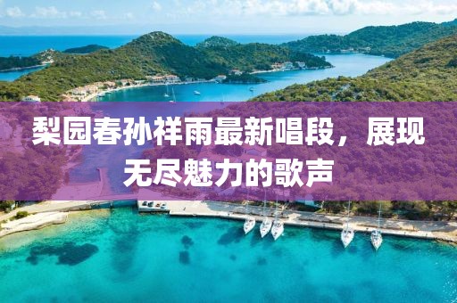 梨园春孙祥雨最新唱段，展现无尽魅力的歌声