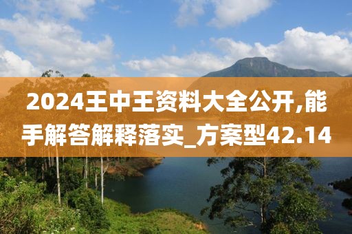 2024王中王资料大全公开,能手解答解释落实_方案型42.14