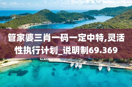 管家婆三肖一码一定中特,灵活性执行计划_说明制69.369