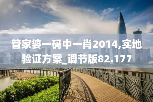 管家婆一码中一肖2014,实地验证方案_调节版82.177