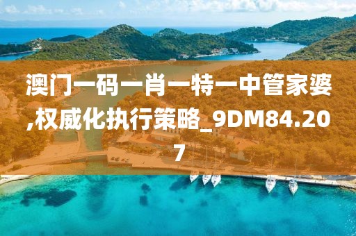 澳门一码一肖一特一中管家婆,权威化执行策略_9DM84.207