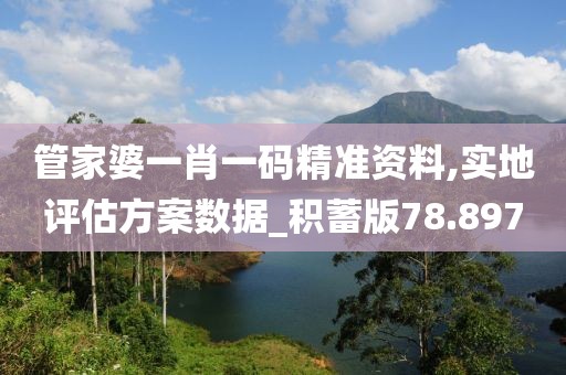 管家婆一肖一码精准资料,实地评估方案数据_积蓄版78.897