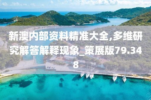 新澳内部资料精准大全,多维研究解答解释现象_策展版79.348