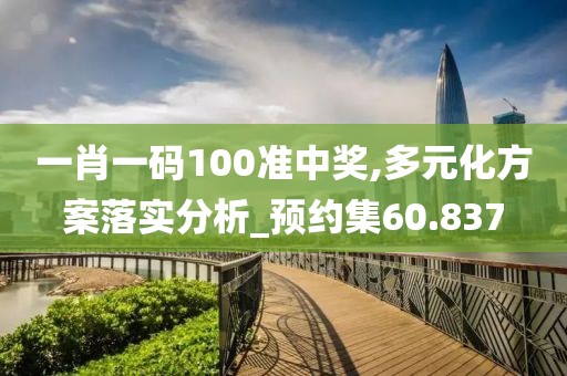 一肖一码100准中奖,多元化方案落实分析_预约集60.837