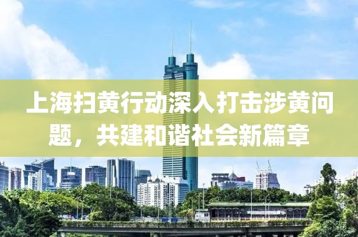 上海扫黄行动深入打击涉黄问题，共建和谐社会新篇章