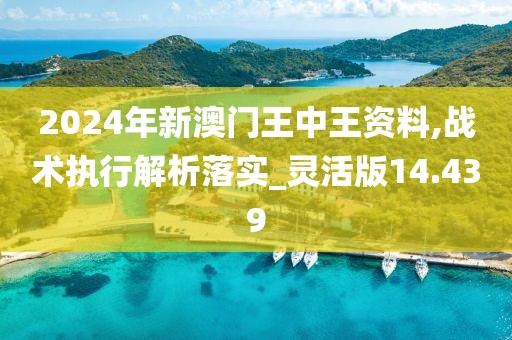 2024年新澳门王中王资料,战术执行解析落实_灵活版14.439